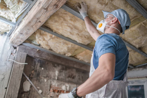 Best Insulation for Specific Applications in Lam, AR