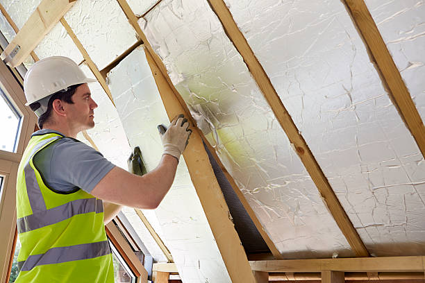Best Geographic-Specific Insulation Services in Lam, AR
