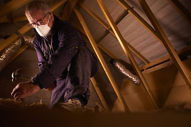 Professional Insulation Contractor in Lamar, AR
